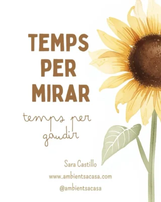 Instagram post from ambientsacasa. This post is in position 1.