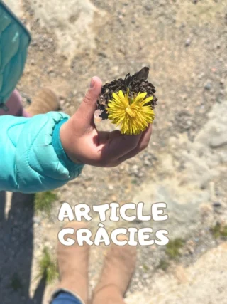 Instagram post from ambientsacasa. This post is in position 1.