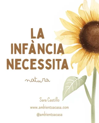 Instagram post from ambientsacasa. This post is in position 1.