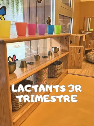 Instagram post from ambientsacasa. This post is in position 1.